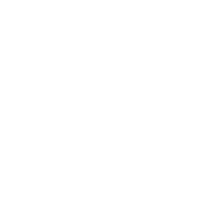 Nienow Cultural Consultants
